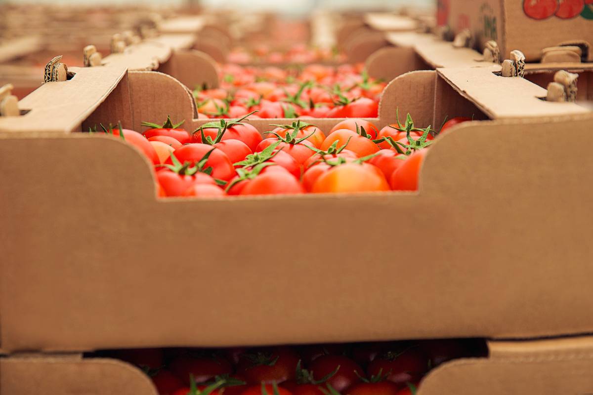 Fresh Vegetable and Fruit Boxes